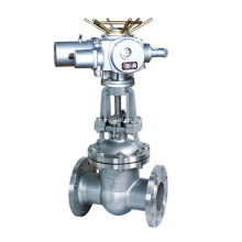 Stainless Steel Gate Valve